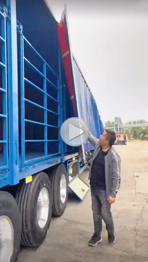 New Tri Axle Tautliner Trailer for Sale